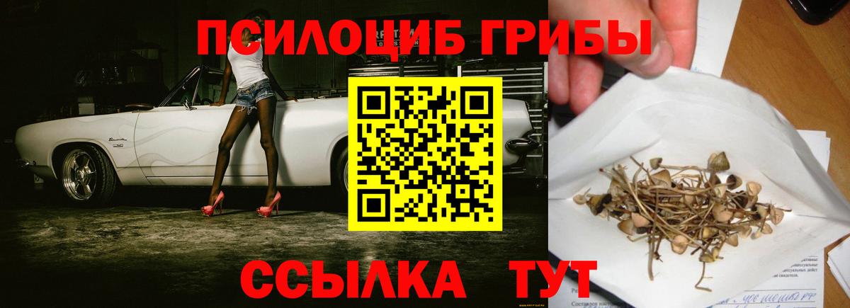 Псилоцибиновые грибы GOLDEN TEACHER Дербент